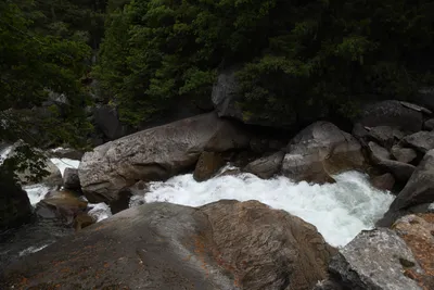 DSC_4697 (Large).JPG